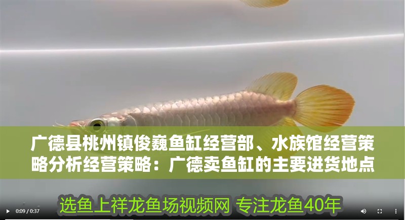 廣德縣桃州鎮俊巍魚缸經營部、水族館經營策略分析經營策略：廣德賣魚缸的主要進貨地點