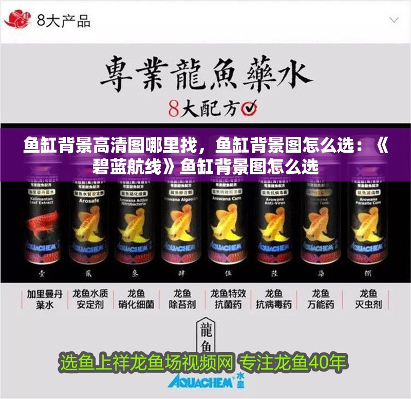 魚缸背景高清圖哪里找，魚缸背景圖怎么選：《碧藍航線》魚缸背景圖怎么選