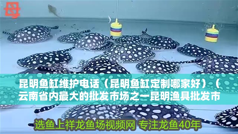 <strong><mark>昆明</mark></strong>魚缸維護電話（<strong><mark>昆明</mark></strong>魚缸定制哪家好）（云南省內最大的批發市場之一<strong><mark>昆明</mark></strong>漁具批發市場之一<strong><mark>昆明</mark></strong>邦盛漁具城）