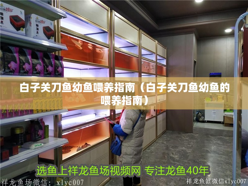 白子關刀魚幼魚喂養指南（白子關刀魚幼魚的喂養指南）