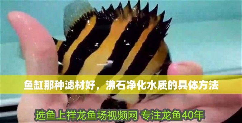魚缸那種濾材好，沸石凈化水質的具體方法