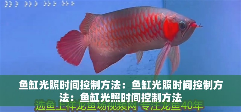 魚缸光照時間控制方法：魚缸光照時間控制方法：魚缸光照時間控制方法