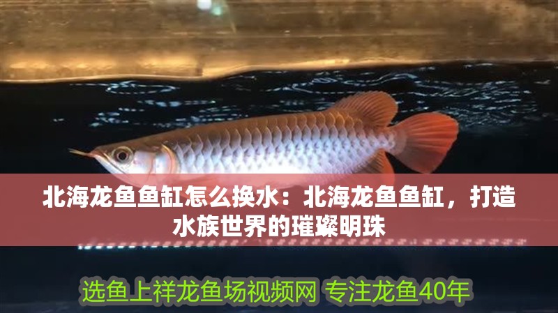 北海龍魚魚缸怎么換水：北海龍魚魚缸，打造水族世界的璀璨明珠 北海龍魚魚缸怎么換水：北海龍魚魚缸，打造水族世界的璀璨明珠 魚缸百科