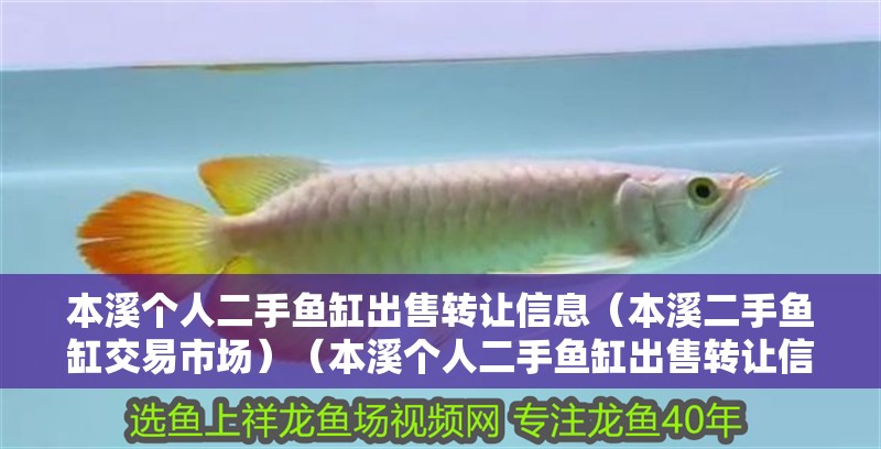 本溪個(gè)人二手魚缸出售轉(zhuǎn)讓信息（本溪二手魚缸交易市場(chǎng)）（本溪個(gè)人二手魚缸出售轉(zhuǎn)讓信息）
