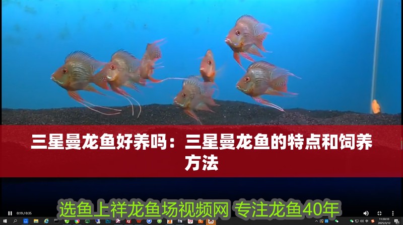 三星曼龍魚好養嗎：三星曼龍魚的特點和飼養方法