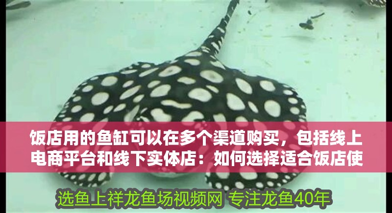 飯店用的魚缸可以在多個渠道購買，包括線上電商平臺和線下實體店：如何選擇適合飯店使用的魚缸