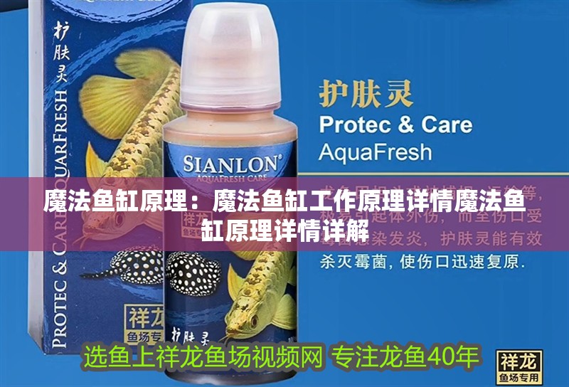 魔法魚缸原理：魔法魚缸工作原理詳情魔法魚缸原理詳情詳解