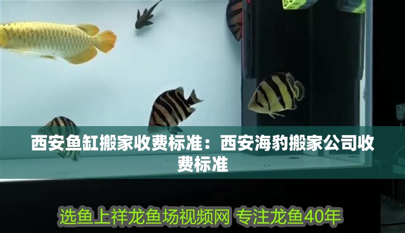 西安魚缸搬家收費標準：西安海豹搬家公司收費標準