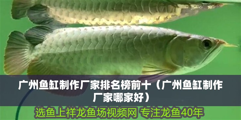 廣州魚(yú)缸制作廠家排名榜前十（廣州魚(yú)缸制作廠家哪家好）