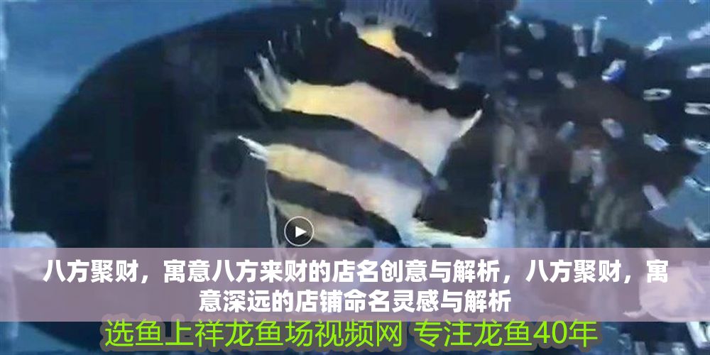 八方聚財，寓意八方來財的店名創意與解析，八方聚財，寓意深遠的店鋪命名靈感與解析