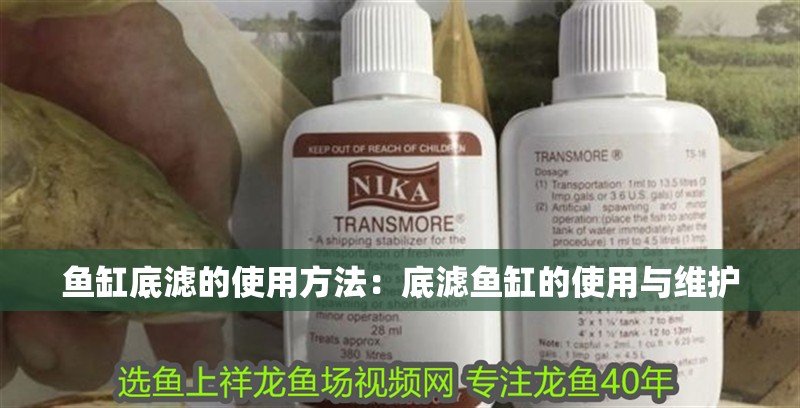 魚缸底濾的使用方法：底濾魚缸的使用與維護