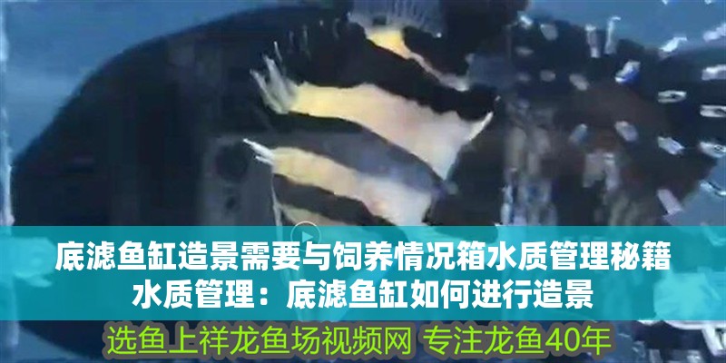 底濾魚缸造景需要與飼養情況箱水質管理秘籍水質管理：底濾魚缸如何進行造景