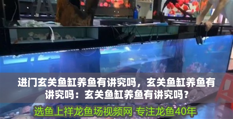 進門玄關魚缸養魚有講究嗎，玄關魚缸養魚有講究嗎：玄關魚缸養魚有講究嗎？