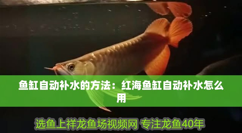 魚缸自動(dòng)補(bǔ)水的方法：紅海魚缸自動(dòng)補(bǔ)水怎么用