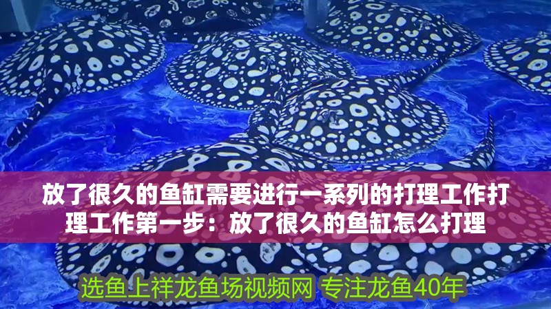 放了很久的魚缸需要進(jìn)行一系列的打理工作打理工作第一步：放了很久的魚缸怎么打理