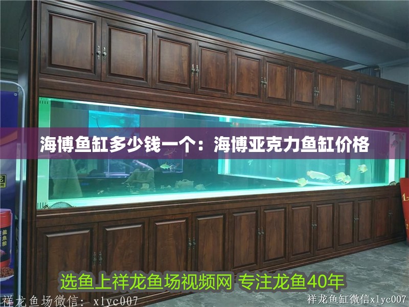 海博魚缸多少錢一個：海博亞克力魚缸價格