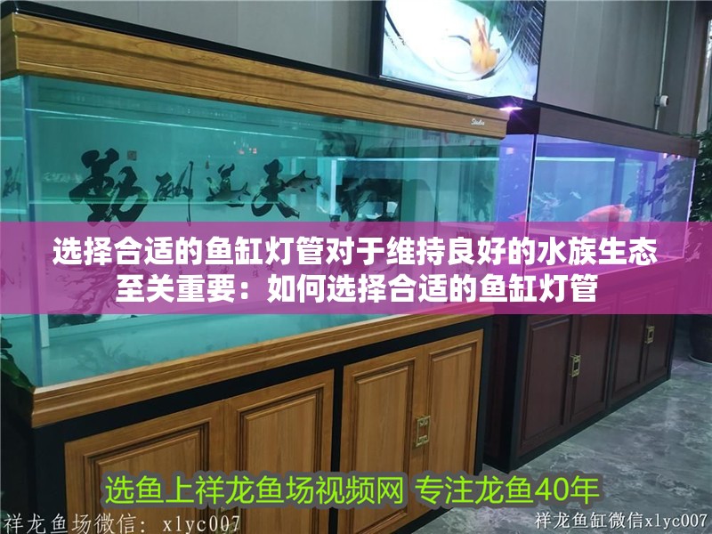 選擇合適的魚缸燈管對于維持良好的水族生態至關重要：如何選擇合適的魚缸燈管
