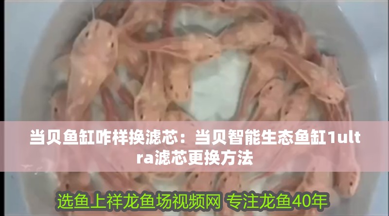 當貝魚缸咋樣換濾芯：當貝智能生態魚缸1ultra濾芯更換方法