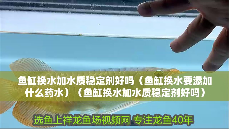 魚缸換水加水質穩定劑好嗎（魚缸換水要添加什么藥水）（魚缸換水加水質穩定劑好嗎）