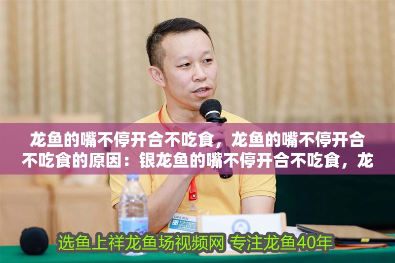 龍魚的嘴不停開合不吃食，龍魚的嘴不停開合不吃食的原因：銀龍魚的嘴不停開合不吃食，龍魚的嘴不停開合不吃食