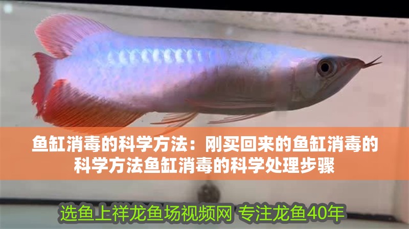 魚缸消毒的科學方法：剛買回來的魚缸消毒的科學方法魚缸消毒的科學處理步驟