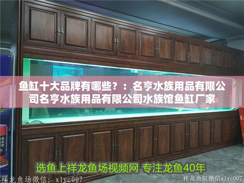 魚缸十大品牌有哪些？：名亨水族用品有限公司名亨水族用品有限公司水族館魚缸廠家