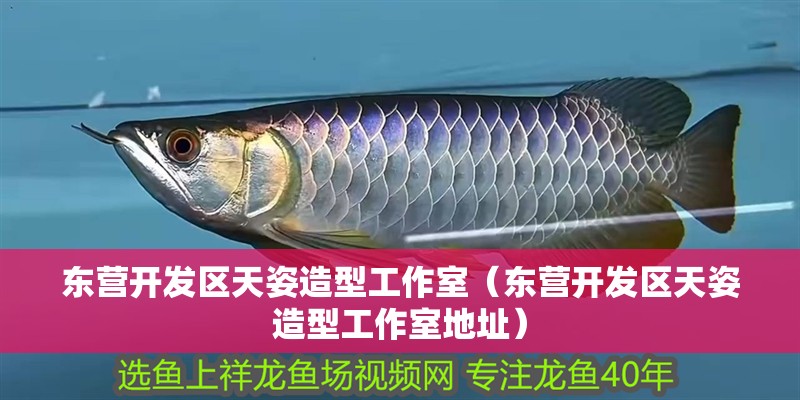 東營開發區天姿造型工作室（東營開發區天姿造型工作室地址）