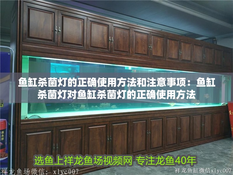 魚缸殺菌燈的正確使用方法和注意事項：魚缸殺菌燈對魚缸殺菌燈的正確使用方法