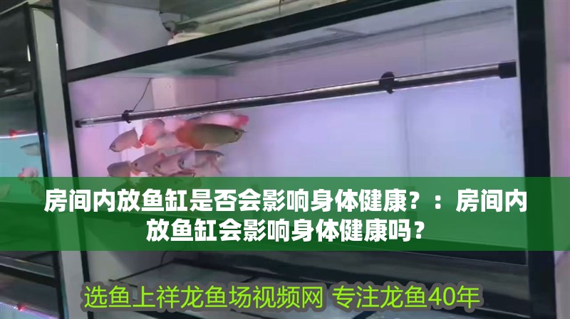 房間內放魚缸是否會影響身體健康？：房間內放魚缸會影響身體健康嗎？