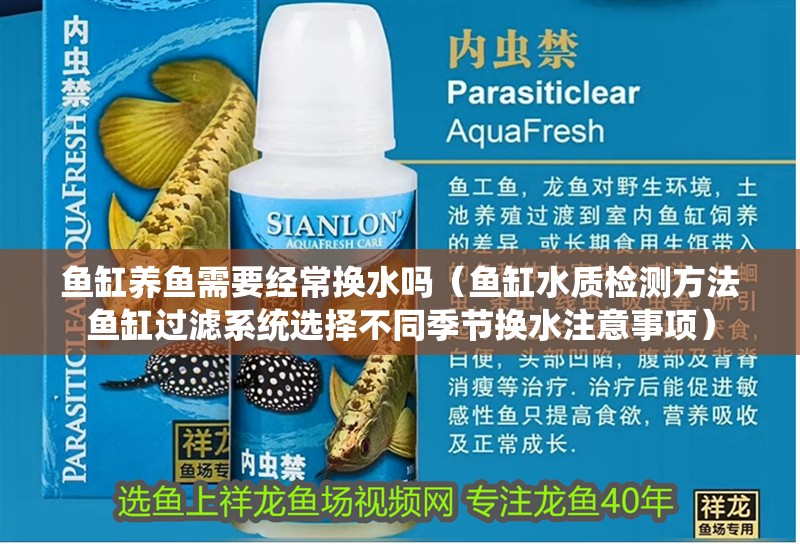 魚缸養魚需要經常換水嗎（魚缸水質檢測方法魚缸過濾系統選擇不同季節換水注意事項）
