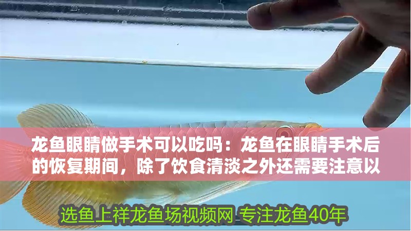 龍魚眼睛做手術可以吃嗎：龍魚在眼睛手術后的恢復期間，除了飲食清淡之外還需要注意以下幾點