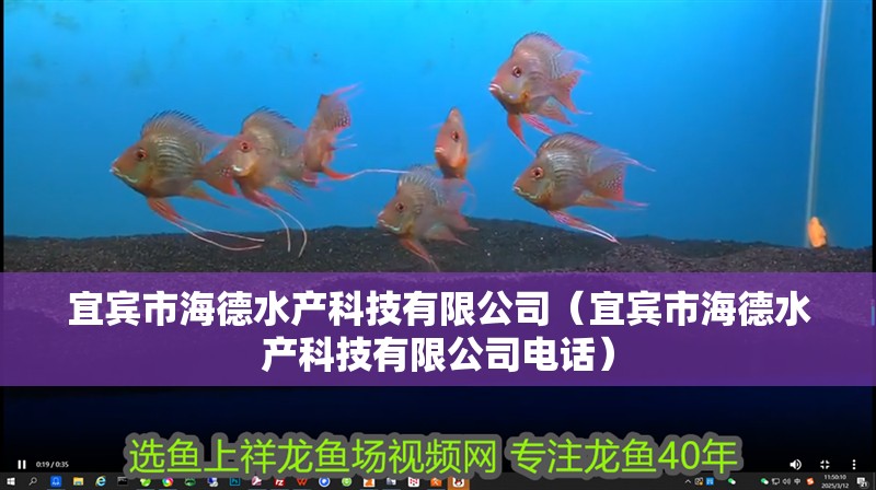 宜賓市海德水產(chǎn)科技有限公司（宜賓市海德水產(chǎn)科技有限公司電話）