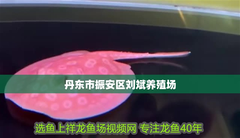 丹東市振安區(qū)劉斌養(yǎng)殖場(chǎng)