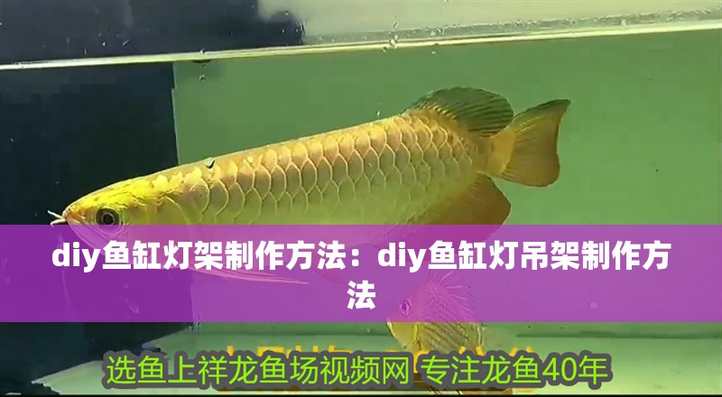 diy魚缸燈架制作方法：diy魚缸燈吊架制作方法