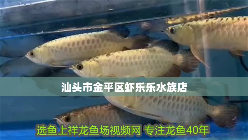 汕頭市金平區蝦樂樂水族店