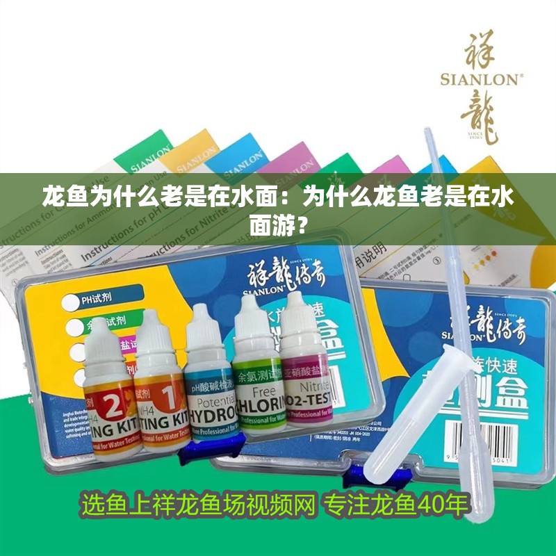 龍魚為什么老是在水面：為什么龍魚老是在水面游？
