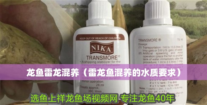 龍魚雷龍混養（雷龍魚混養的水質要求） 龍魚雷龍混養（雷龍魚混養的水質要求） 龍魚百科