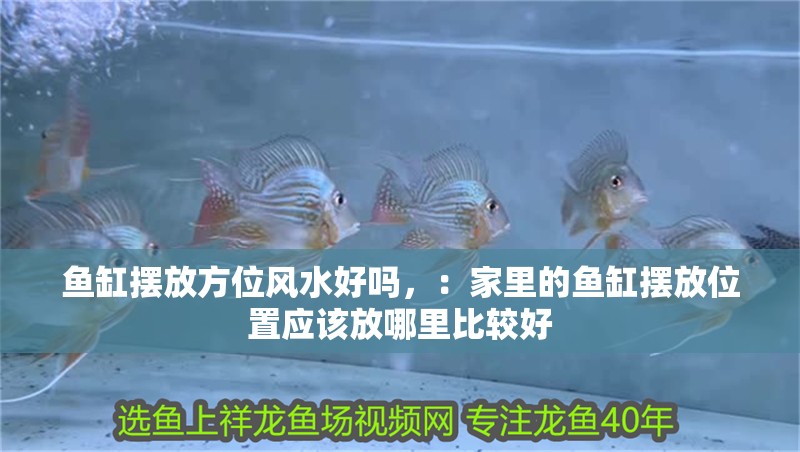 魚缸擺放方位風水好嗎，：家里的魚缸擺放位置應該放哪里比較好