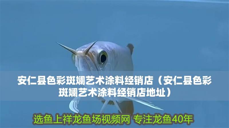 安仁縣色彩斑斕藝術涂料經銷店（安仁縣色彩斑斕藝術涂料經銷店地址）