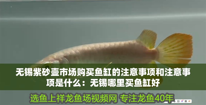 無錫紫砂壺市場購買魚缸的注意事項和注意事項是什么：無錫哪里買魚缸好 無錫紫砂壺市場購買魚缸的注意事項和注意事項是什么：無錫哪里買魚缸好 魚缸百科