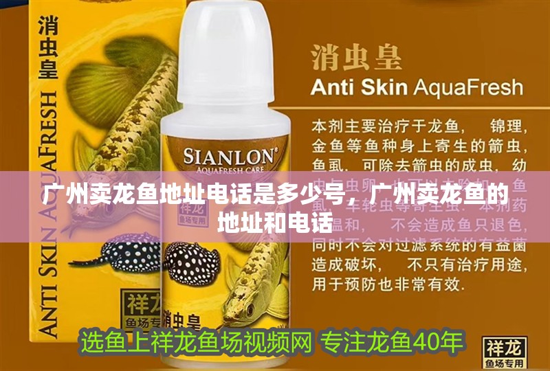 廣州賣龍魚地址電話是多少號，廣州賣龍魚的地址和電話