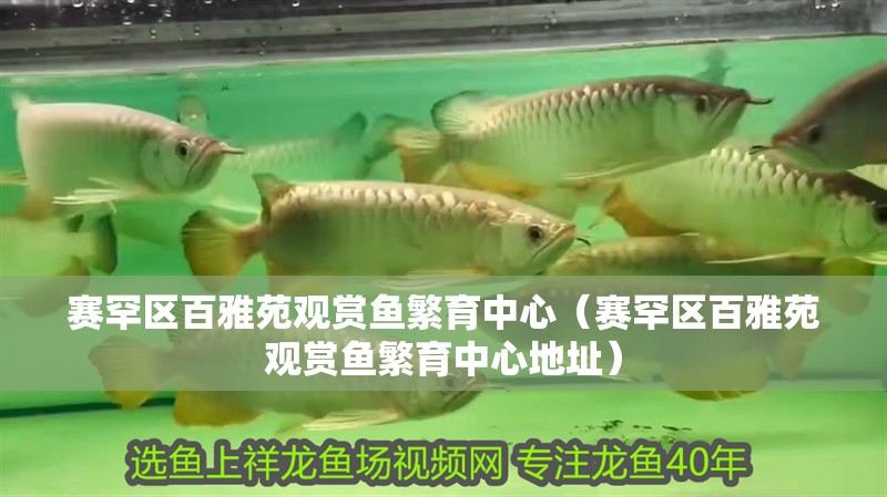 賽罕區百雅苑觀賞魚繁育中心（賽罕區百雅苑觀賞魚繁育中心地址）