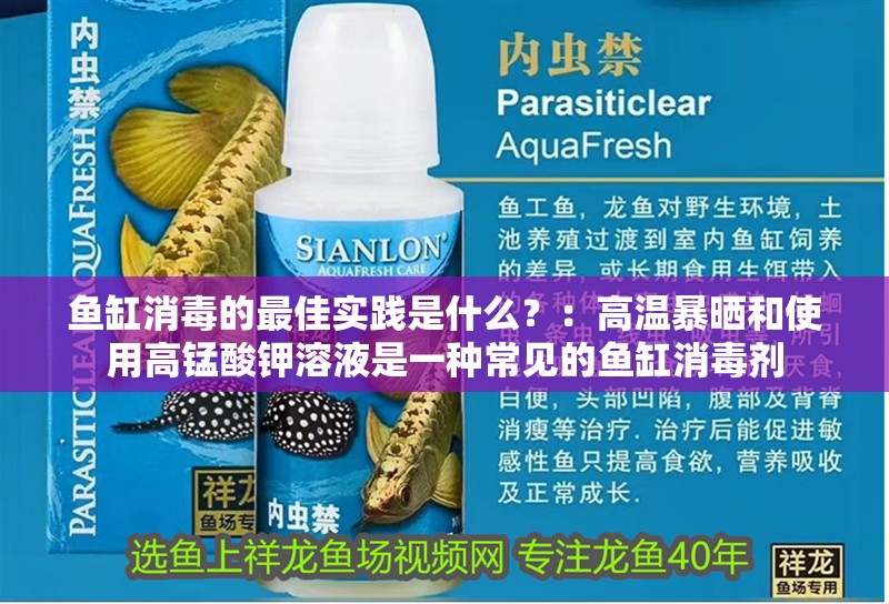 魚缸消毒的最佳實踐是什么？：高溫暴曬和使用高錳酸鉀溶液是一種常見的魚缸消毒劑