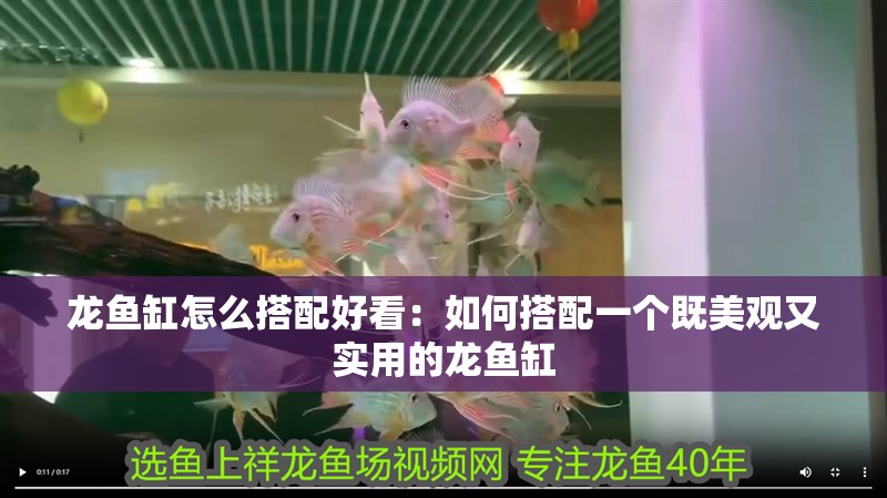 龍魚缸怎么搭配好看：如何搭配一個既美觀又實用的龍魚缸