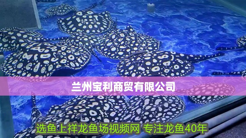 蘭州寶利商貿有限公司