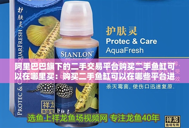 阿里巴巴旗下的二手交易平臺購買二手魚缸可以在哪里買：購買二手魚缸可以在哪些平臺進(jìn)行