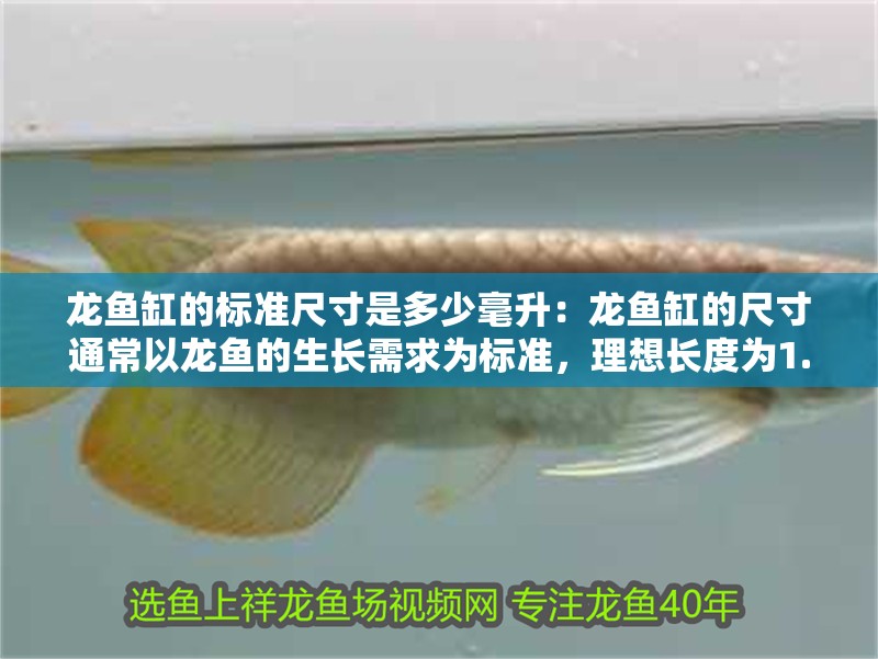 龍魚缸的標準尺寸是多少毫升：龍魚缸的尺寸通常以龍魚的生長需求為標準，理想長度為1.5米