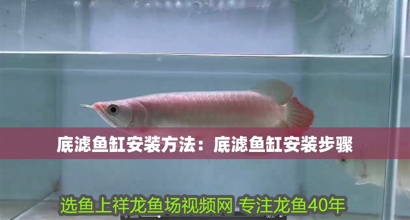 底濾魚缸安裝方法：底濾魚缸安裝步驟