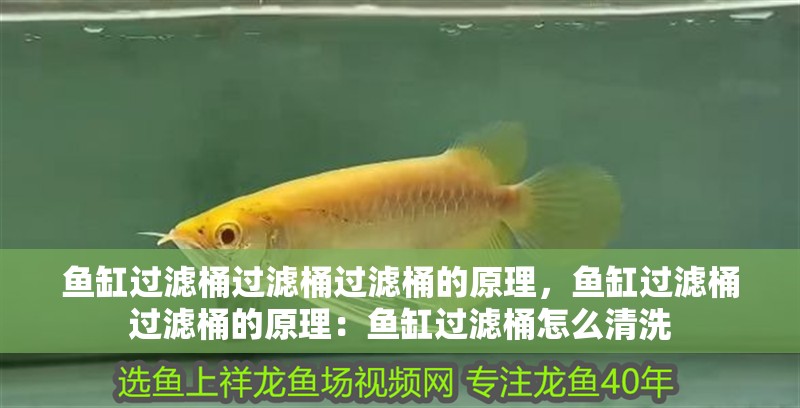魚缸過濾桶過濾桶過濾桶的原理，魚缸過濾桶過濾桶的原理：魚缸過濾桶怎么清洗