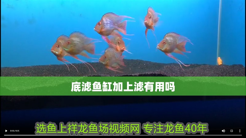 底濾魚缸加上濾有用嗎